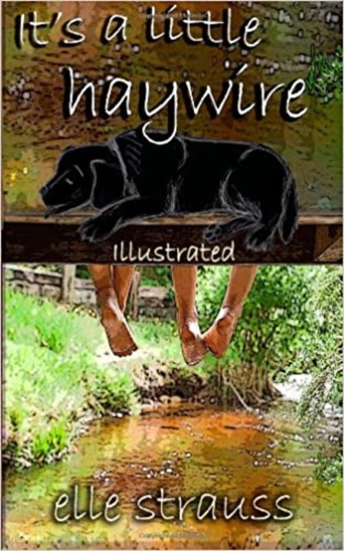 Book cover for "It's a Little Haywire" by Elle Strauss