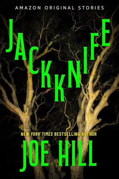 Joe Hill book cover