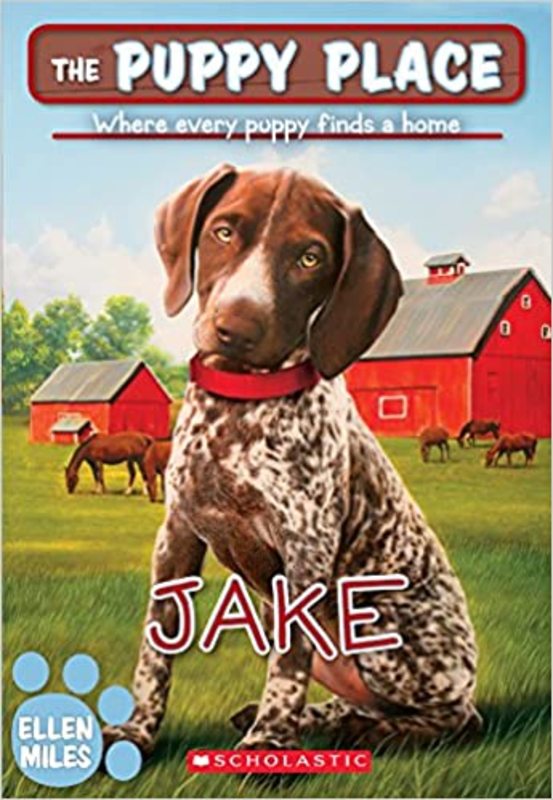Book cover for "Jake" by Ellen Miles