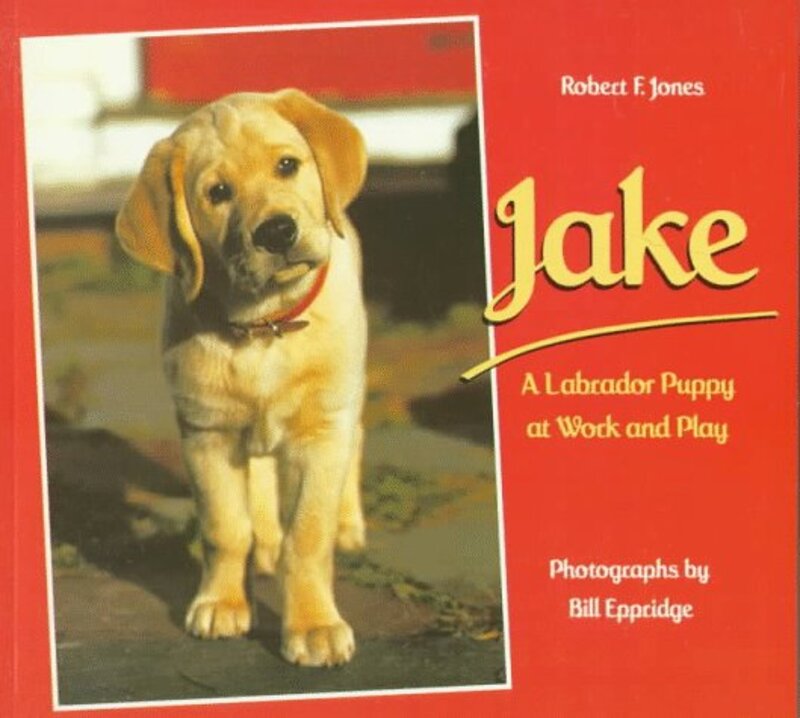 Book cover for "Jake" by Robert F Jones