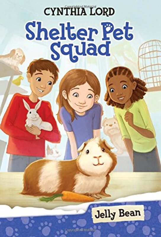 Book cover for "Jelly Bean" by Cynthia Lord