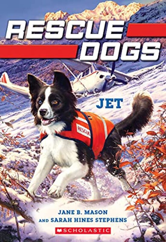 Book cover for "Jet" by Jane B Mason