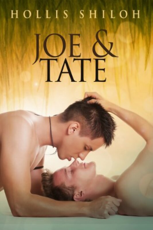 Book cover for "Joe and Tate" by Hollis Shiloh