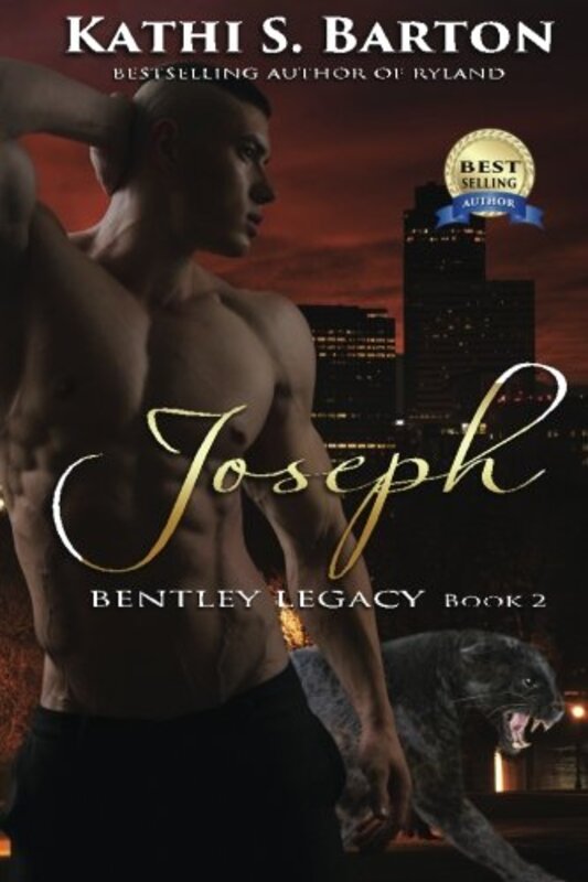 Book cover for "Joseph" by Kathi S Barton