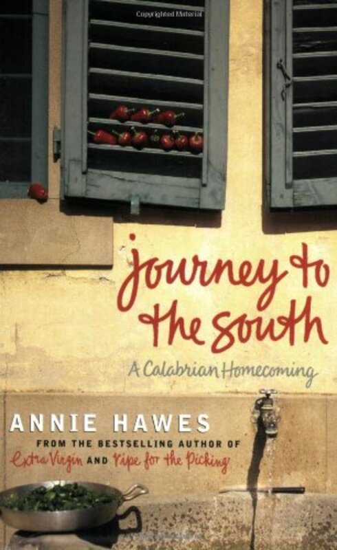 Annie Hawes book cover