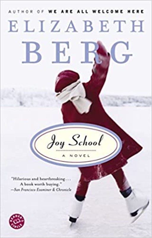 Book cover for "Joy School" by Elizabeth Berg
