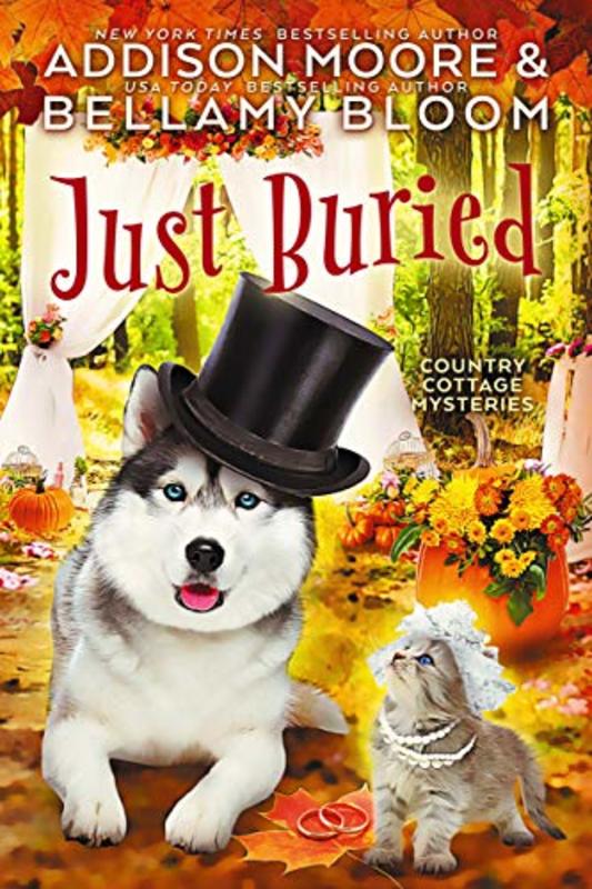 Book cover for "Just Buried" by Addison Moore