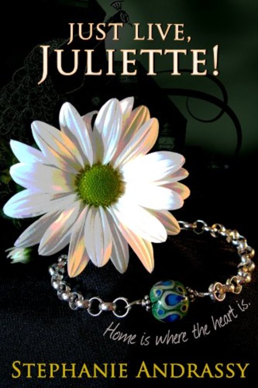 Stephanie Andrassy book cover