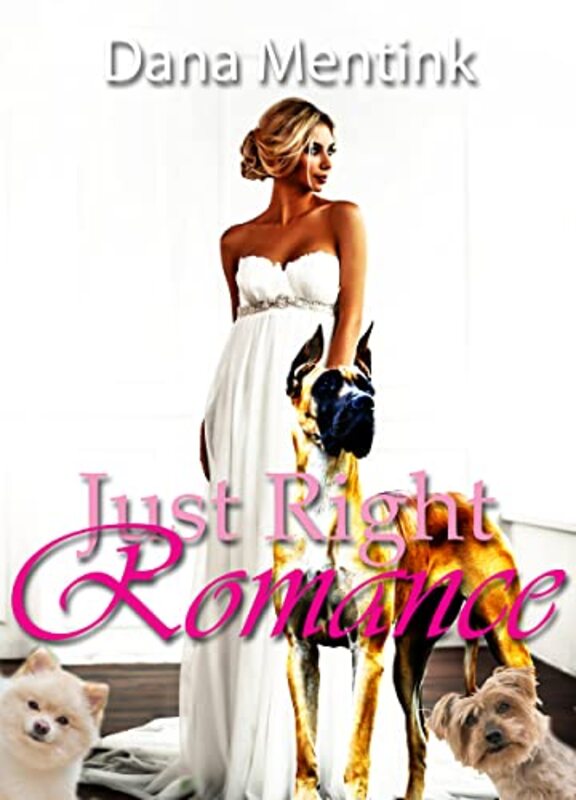 Book cover for "Just Right Romance" by Dana Mentink