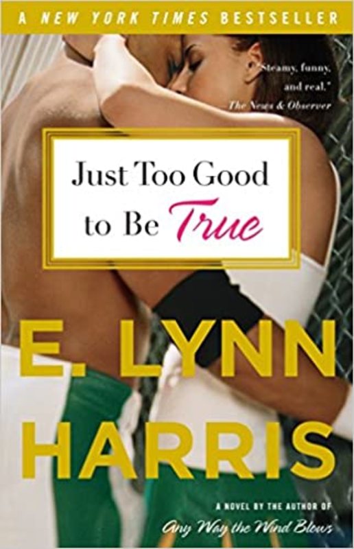 Book cover for "Just Too Good to Be True" by E. Lynn Harris