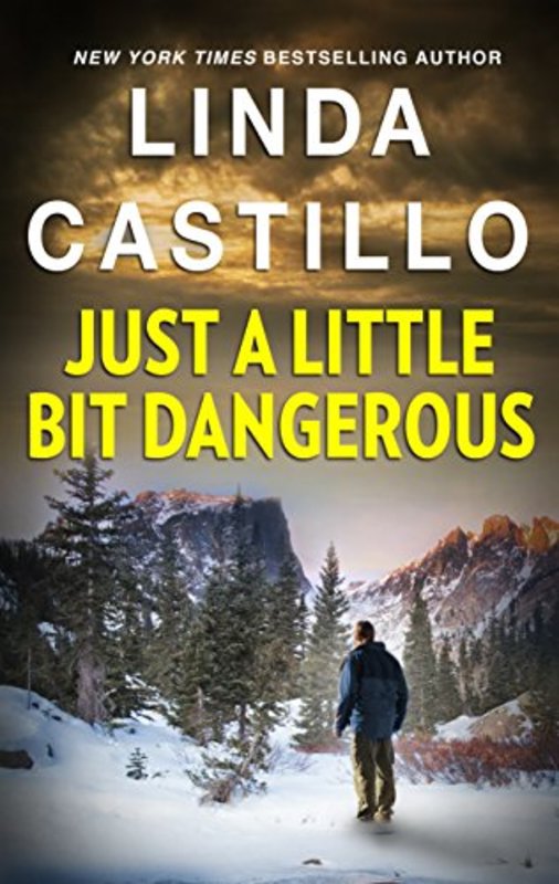 Book cover for "Just A Little Bit Dangerous" by Linda Castillo