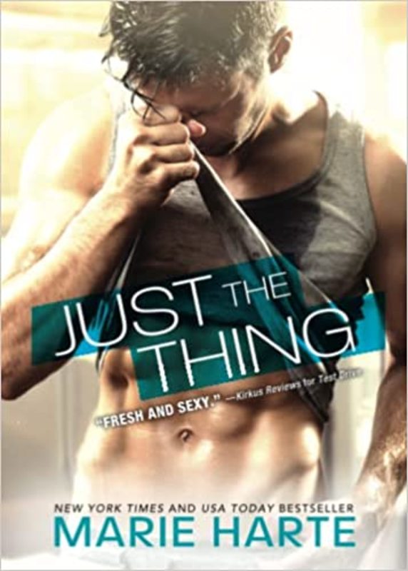 Book cover for "Just the Thing" by Marie Harte