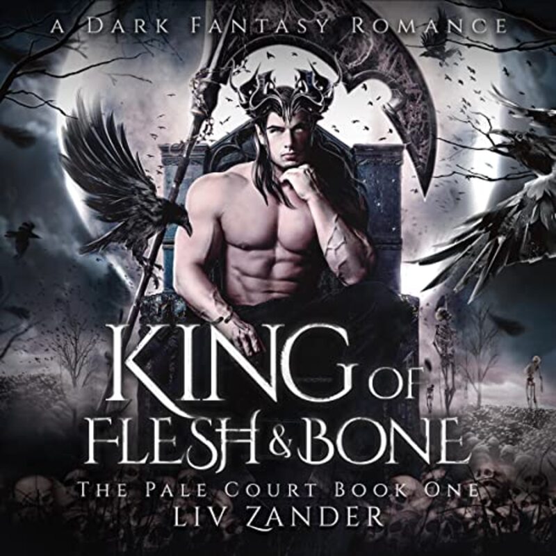 Liv Zander book cover