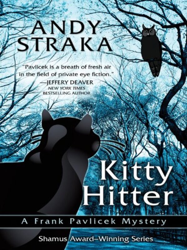 Book cover for "Kitty Hitter / The Night Falconer" by Andy Straka