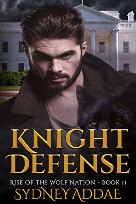 Book cover for "Knight Defense" by Sydney Addae
