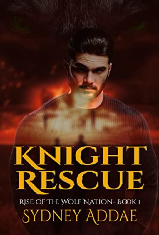 Book cover for "Knight Rescue" by Sydney Addae