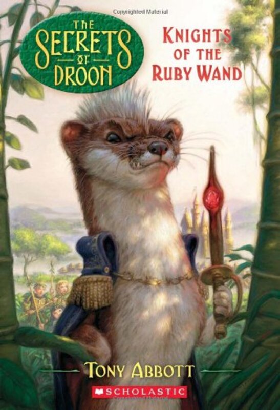 Secrets of Droon book cover