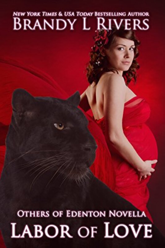 Book cover for "Labor of Love" by Brandy L Rivers