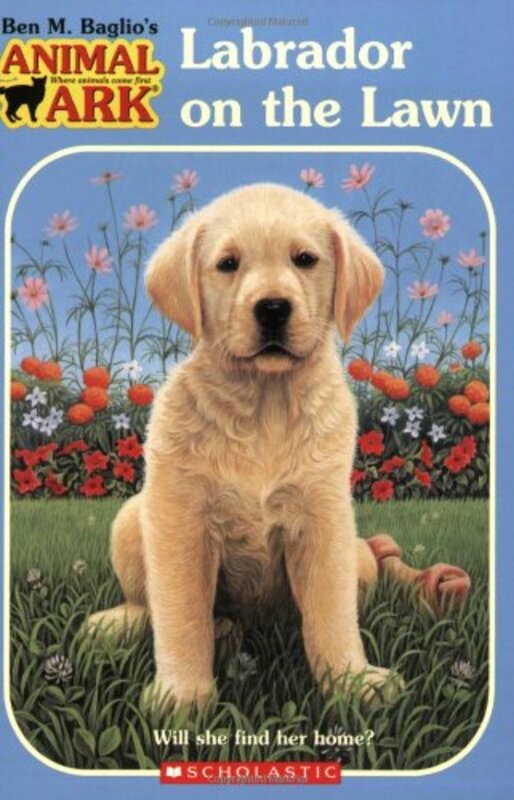 Book cover for "Labrador on the Lawn" by Ben M Baglio
