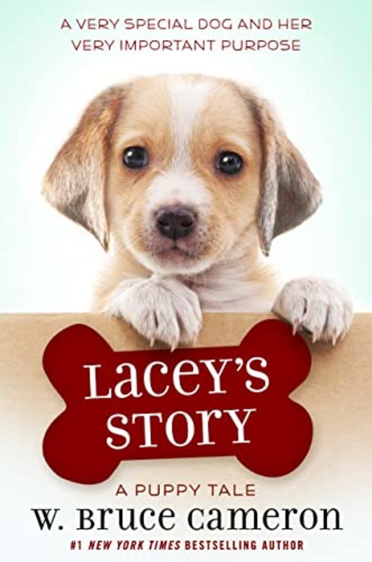 W Bruce Cameron book cover