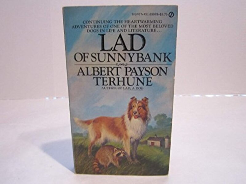 Book cover for "Lad of Sunnybank" by Albert Payson Terhune
