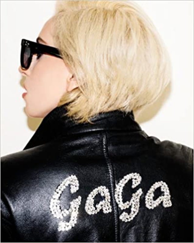 Book cover for "Lady Gaga X Terry Richardson" by Lady Gaga