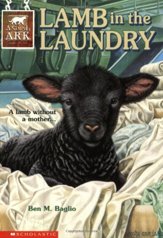 Book cover for "Lamb in the Laundry" by Lucy Daniels