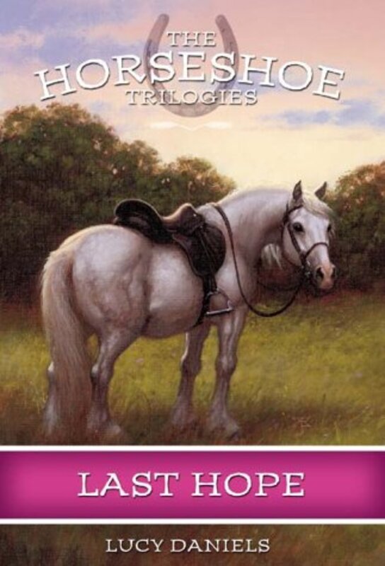 Book cover for "Last Hope" by Lucy Daniels