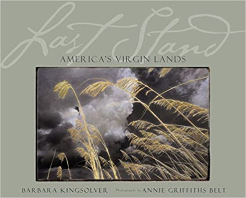 Book cover for "Last Stand" by Barbara Kingsolver