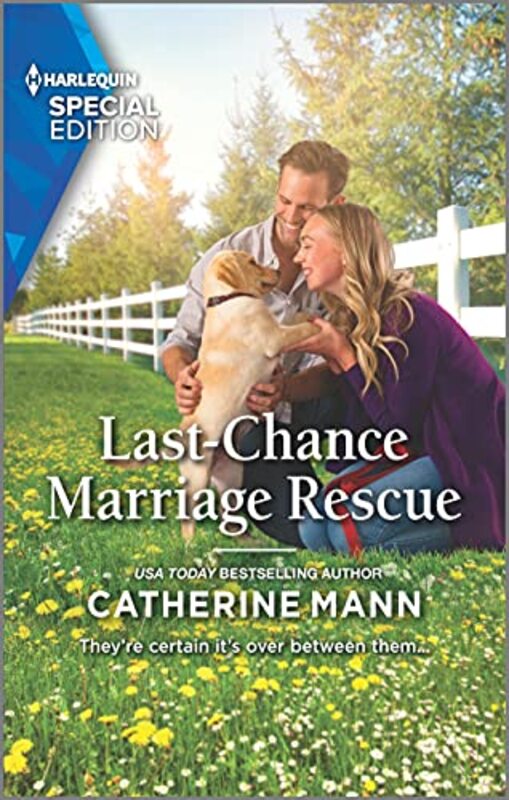 Book cover for "Last-Chance Marriage Rescue" by Catherine Mann
