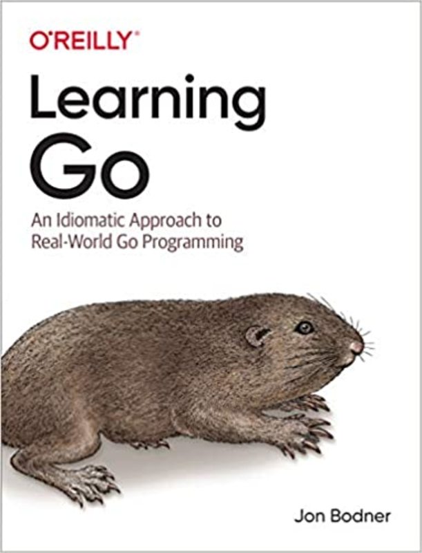Book cover for "Learning Go" by Jon Bodner