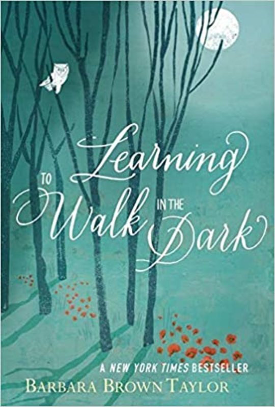 Book cover for "Learning to Walk in the Dark" by Barbara Brown Taylor