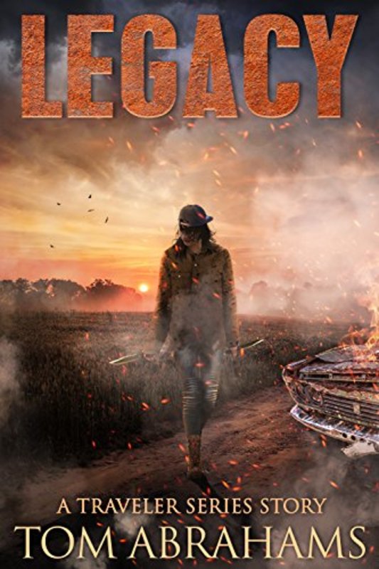 The Traveler by Tom Abrahams book cover