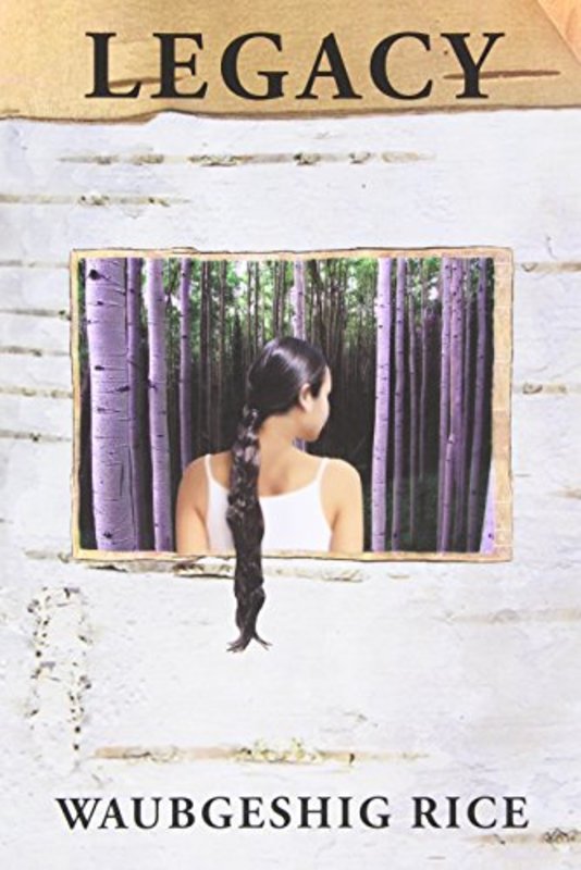 Waubgeshig Rice book cover