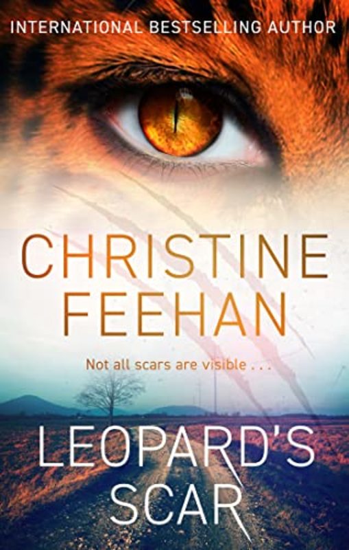 Christine Feehan book cover