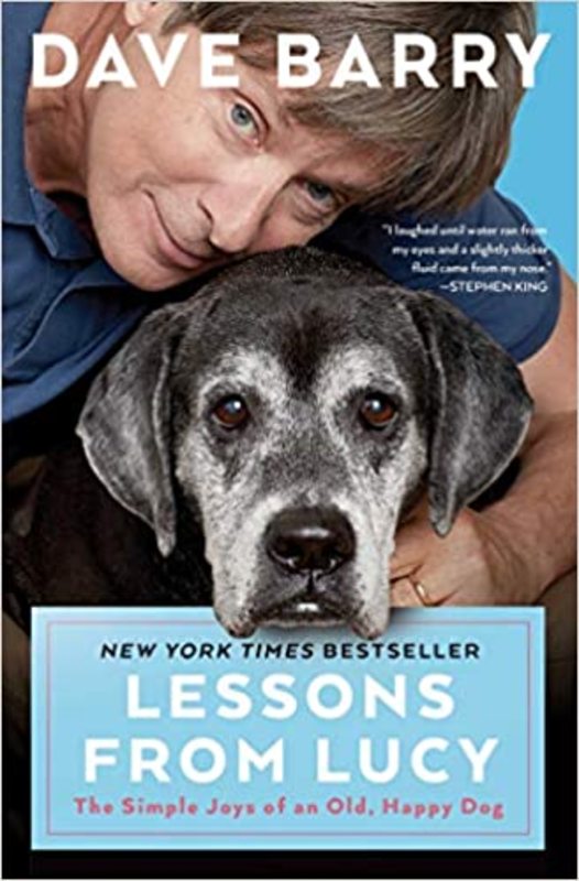 Book cover for "Lessons From Lucy" by Dave Barry