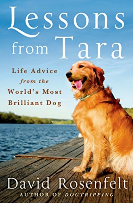 Book cover for "Lessons from Tara" by David Rosenfelt
