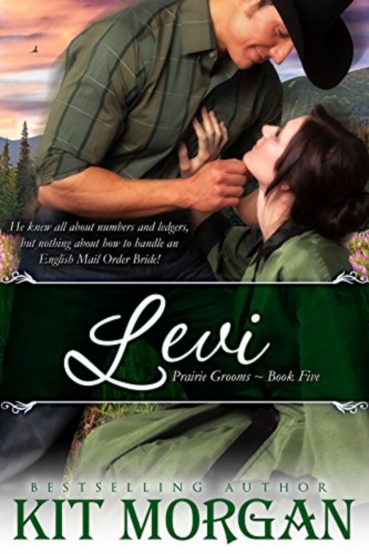 Book cover for "Levi" by Kit Morgan