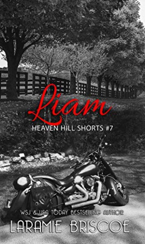 Book cover for "Liam" by Laramie Briscoe