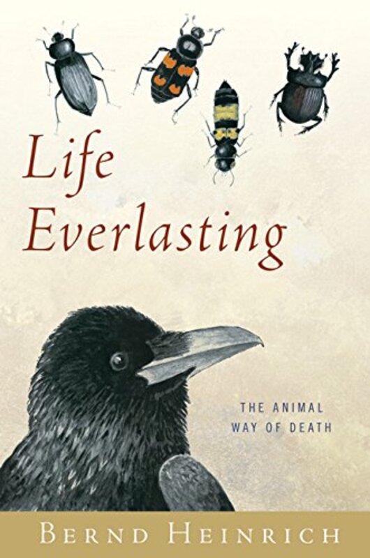 Book cover for "Life Everlasting" by Bernd Heinrich