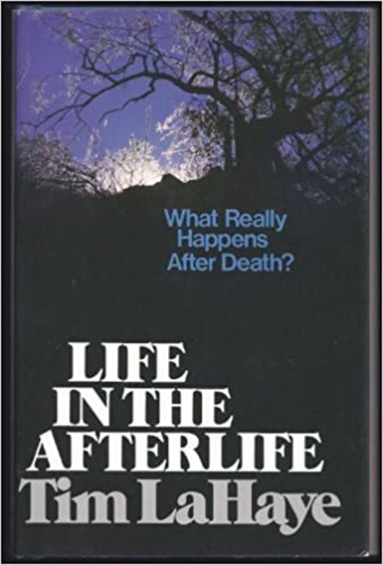 Book cover for "Life in the Afterlife" by Tim LaHaye