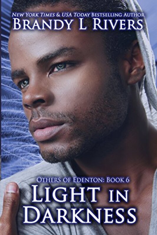 Book cover for "Light in Darkness" by Brandy L Rivers