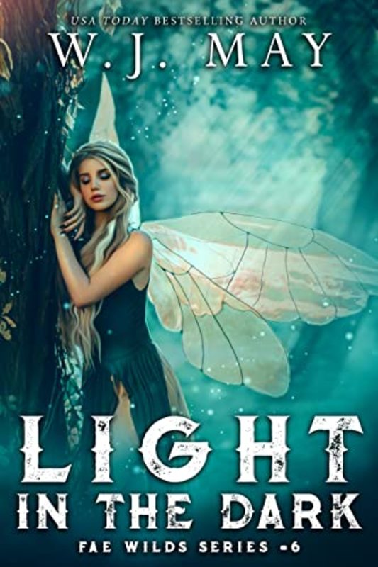 Book cover for "Light in the Dark" by WJ May