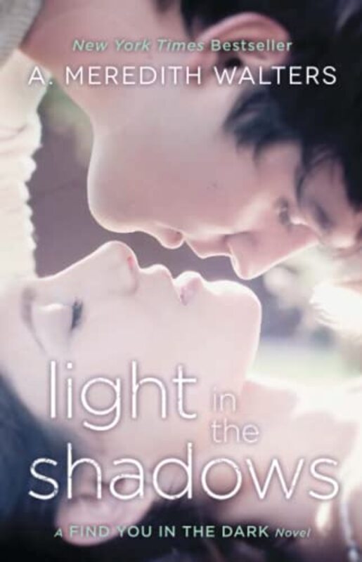 Book cover for "Light in the Shadows" by A Meredith Walters