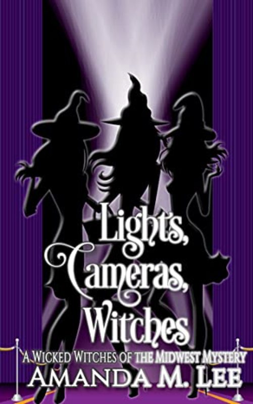 Wicked Witches of the Midwest book cover