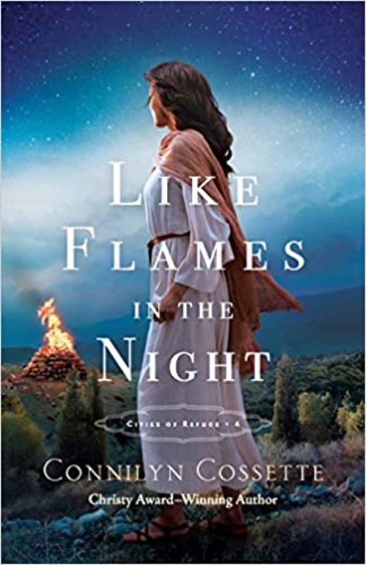 Book cover for "Like Flames in the Night" by Connilyn Cossette