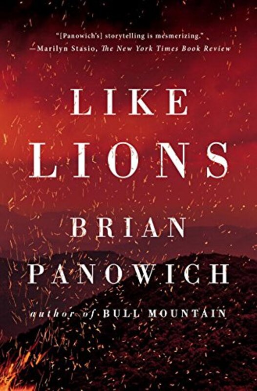 Brian Panowich book cover