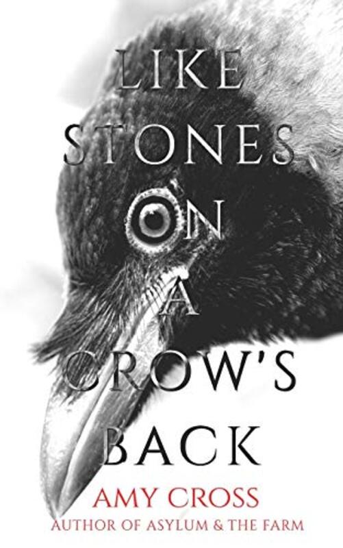 Book cover for "Like Stones on a Crow's Back" by Amy Cross