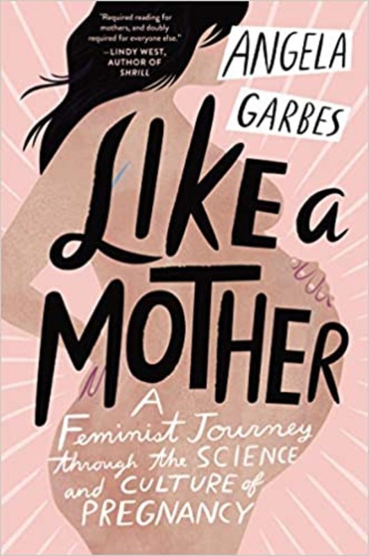 Book cover for "Like a Mother" by Angela Garbes