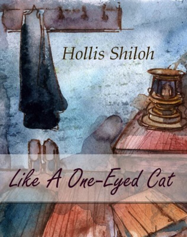 Book cover for "Like a One-Eyed Cat" by Hollis Shiloh